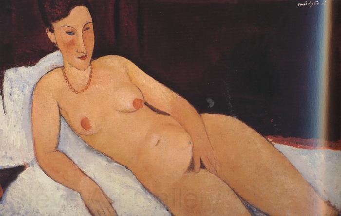 Amedeo Modigliani Nude with Coral Necklace (mk39) Spain oil painting art